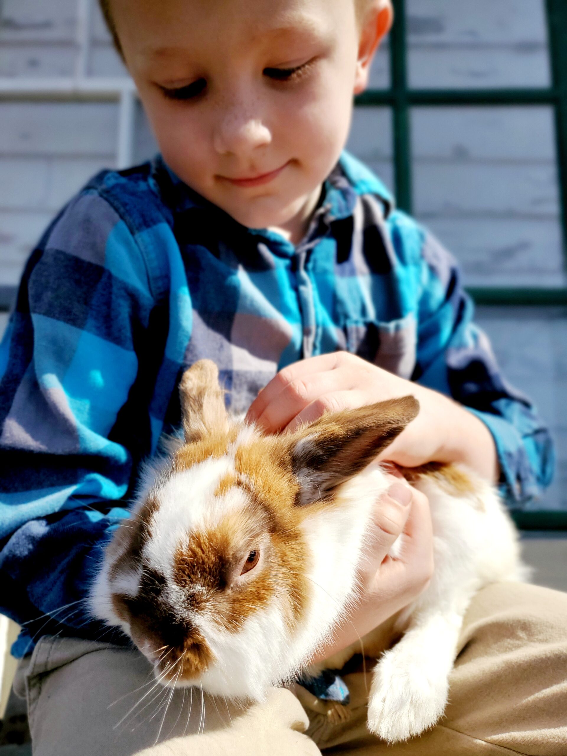 Kid holding a bunny