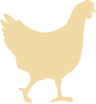 chicken