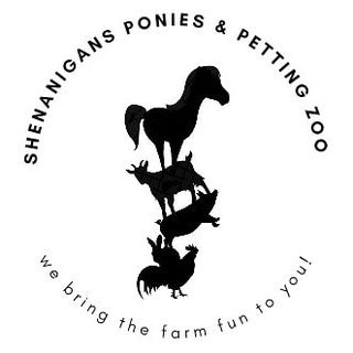 shenanigansponiesandpettingzoo